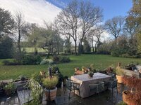 IMG_1453.jpeg