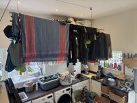 IMG_1456.jpeg