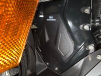 IMG_8824.jpeg