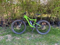 IMG_0317.jpeg