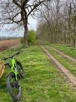 IMG_0239.jpeg