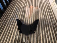 IMG_8978.jpeg