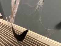 IMG_8977.jpeg