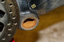 _DSC6625_DxO.jpg