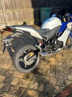 IMG_4358.jpeg