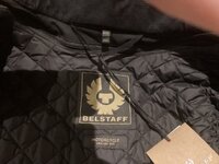 IMG_0335.jpeg