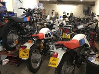 IMG_8830.jpeg