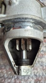 IMG_7911.jpeg