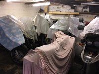IMG_5213.jpeg