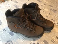 IMG_3950.jpeg