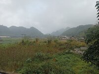 IMG20251207144348.jpg