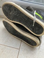 IMG_2949.jpeg