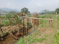 IMG20251208113240.jpg