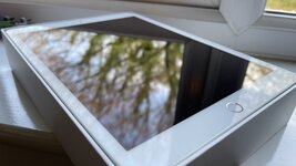 IMG_1597.jpeg