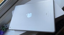 IMG_1599.jpeg