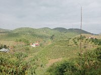 IMG20251209140907.jpg