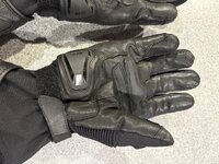 IMG_0205.jpeg