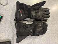 IMG_0203.jpeg