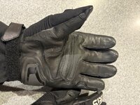 IMG_0204.jpeg
