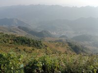 IMG20251210160331.jpg