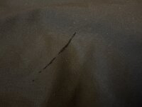 IMG_8439.jpeg