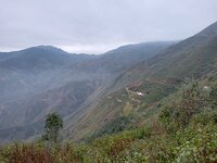 IMG20251211071831.jpg