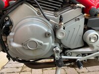 IMG_2584.jpeg