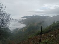 IMG20251212091015.jpg