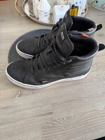 IMG_8355.jpeg