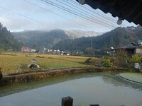IMG20251213080239.jpg