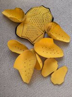 enduro armour.jpg