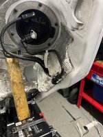 IMG_2282.jpeg