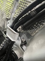 IMG_2284.jpeg