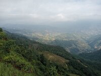 IMG20251215091944.jpg