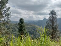 IMG20251215112153.jpg