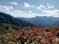IMG20251215130046.jpg