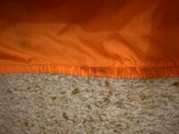 IMG_3743.jpeg