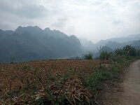 IMG20251216095321.jpg