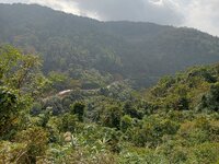 IMG20251217132606.jpg
