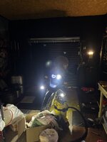 IMG_6350.jpeg