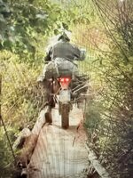 IMG_2093.jpeg