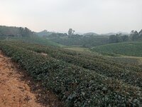 IMG20251220161234.jpg