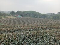 IMG20251220161238.jpg