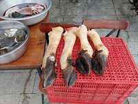 IMG20251220103012.jpg