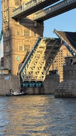 IMG_6833.jpeg