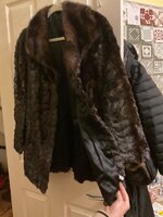 IMG_0399.jpeg