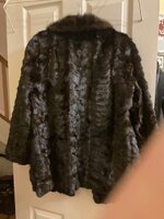 IMG_0397.jpeg