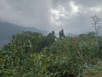 IMG20251222095007.jpg