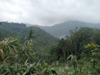 IMG20251222095025.jpg