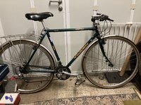 IMG_6993.jpeg